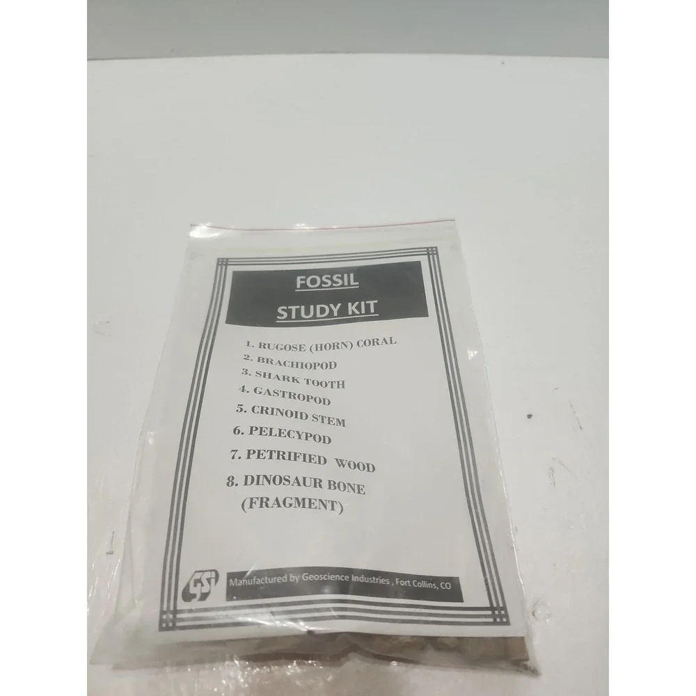Fossil Study Kit‎